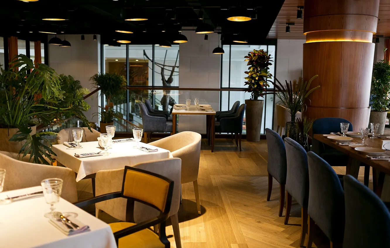 Photo wallpaper flowers, design, comfort, style, table, interior, chair, serving