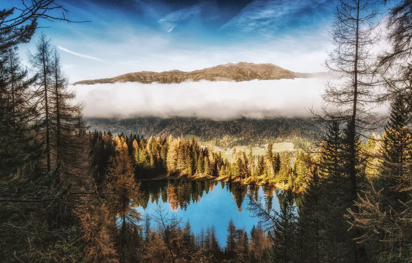 Photo wallpaper forest, the sky, clouds, landscape, mountains, nature