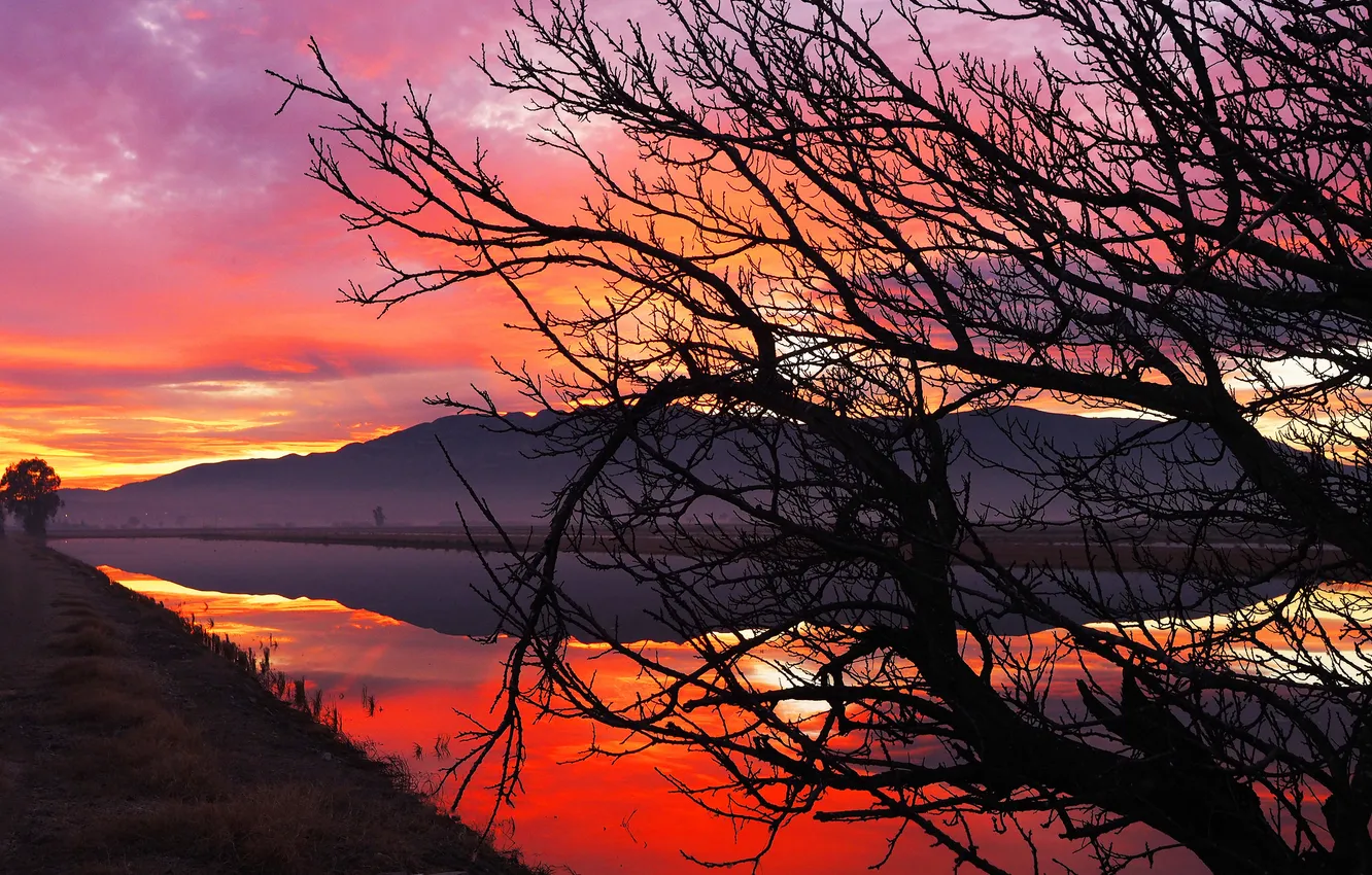 Photo wallpaper the sky, trees, sunset, mountains, lake, silhouette, glow