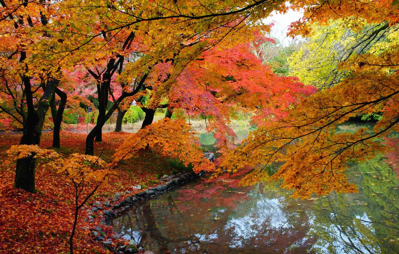 Photo wallpaper autumn, leaves, water, trees, pond, Park, stones