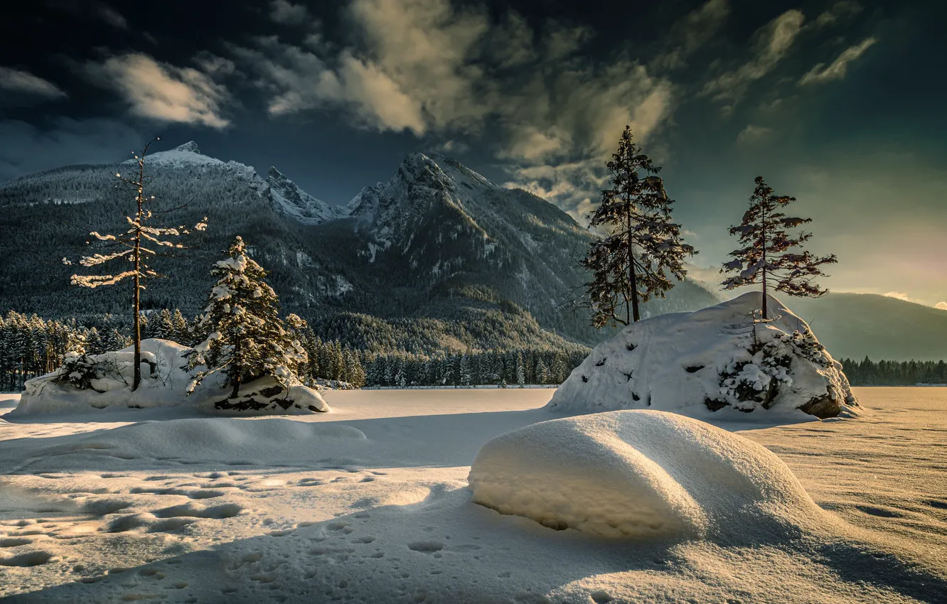 Photo wallpaper winter, snow, trees, mountains, Germany, Bayern, Alps, the snow