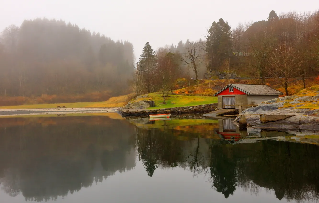 Photo wallpaper autumn, forest, trees, landscape, nature, fog, lake, reflection