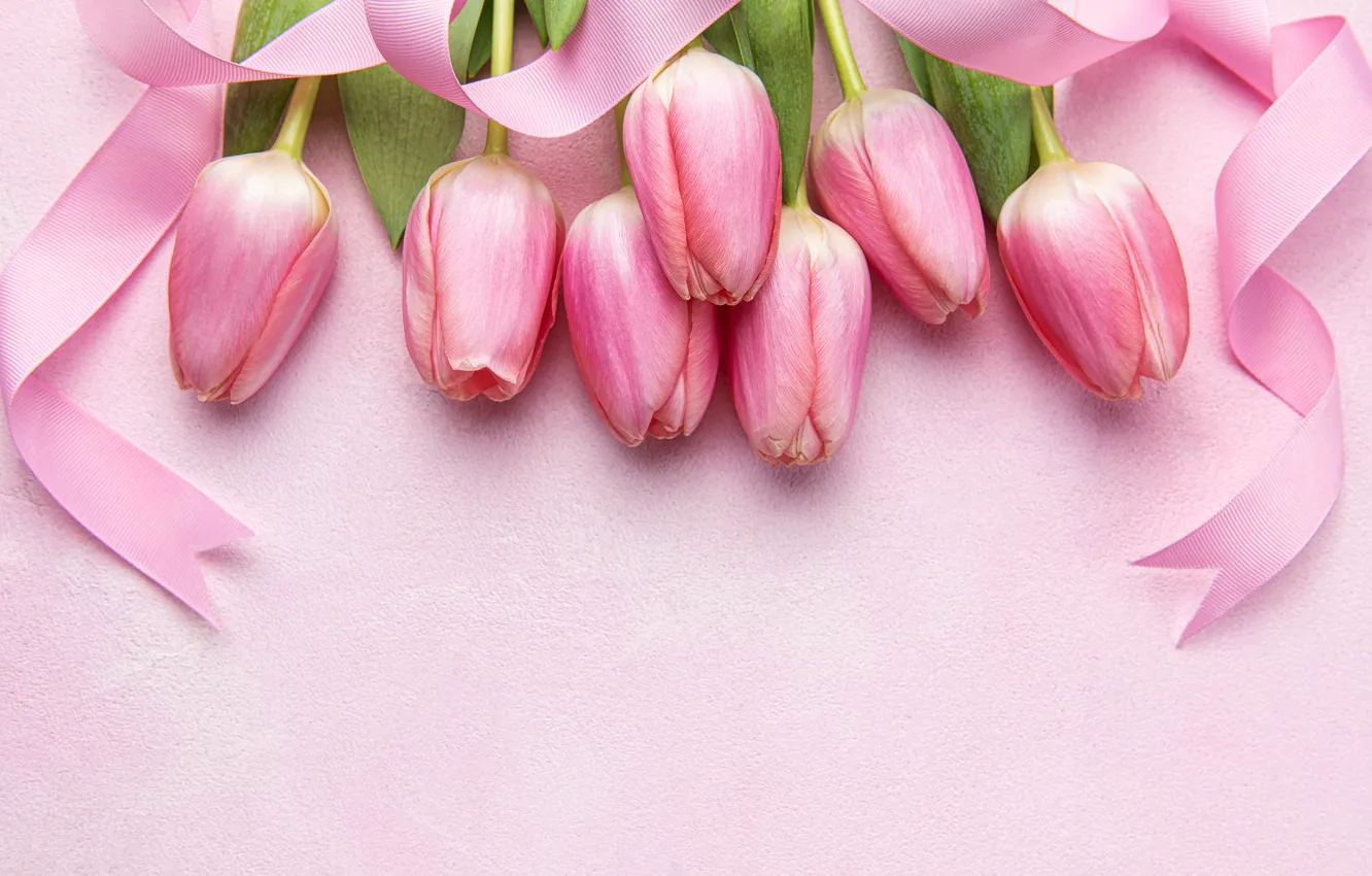 Photo wallpaper flowers, bouquet, tape, tulips, pink, flowers, tulips, spring