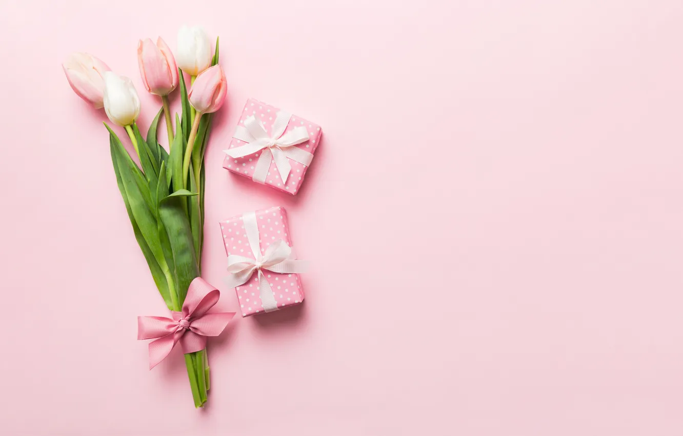 Photo wallpaper flowers, gift, tulips, pink background, March 8, pink, flowers, background