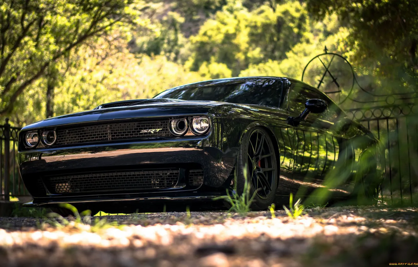 Photo wallpaper Dodge, srt 8, Challanger