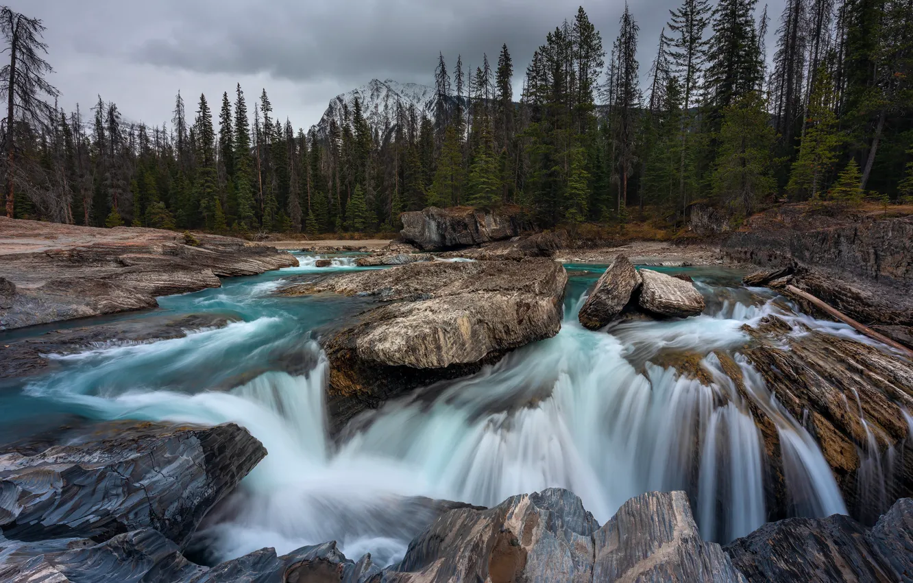 Photo wallpaper forest, mountains, rocks, waterfall, Canada, Albert