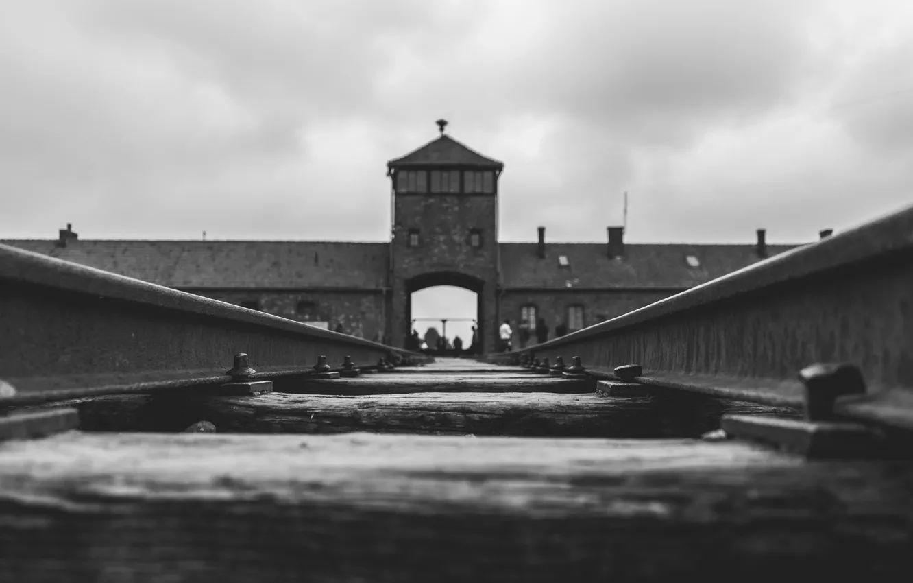 Photo wallpaper Auschwitz, history, World War 2, WW2, Awful, Tracks, World War Two, Karsten Winegeart
