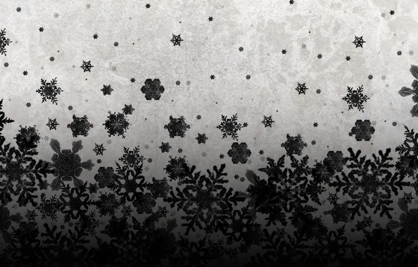 Photo wallpaper snow, snowflakes, background, Wallpaper, art, black and white, picture