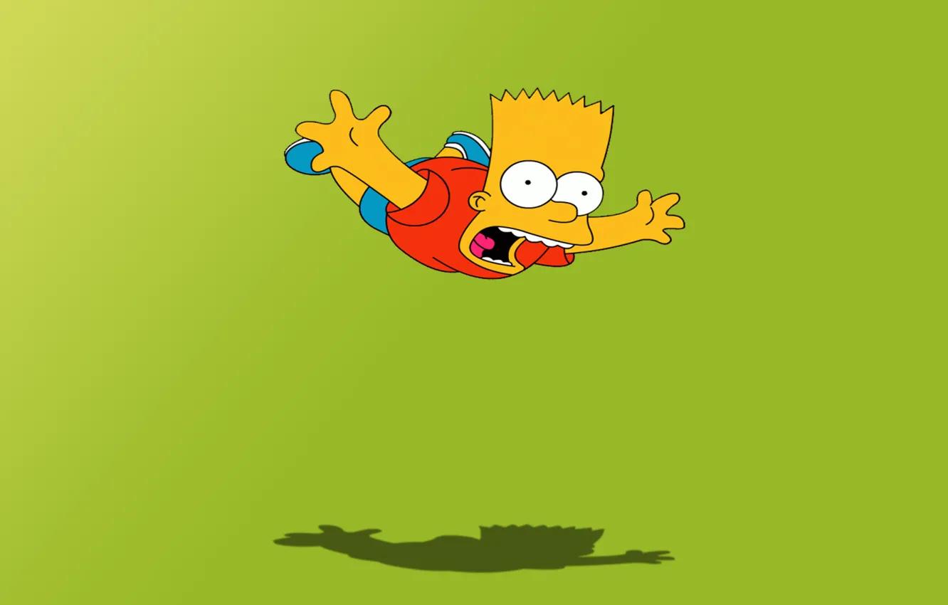 Photo wallpaper cartoon, the simpsons, flight, Bart, the simpsons, bart