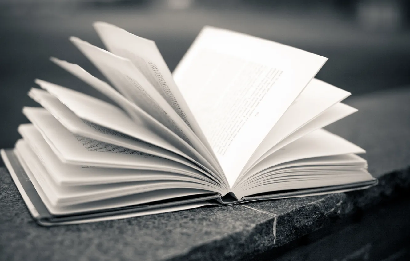 Photo wallpaper leaves, background, mood, Wallpaper, book, wallpaper, owner, widescreen