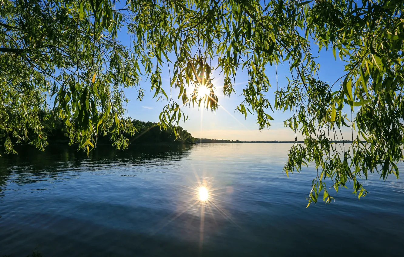 Photo wallpaper the sky, the sun, rays, trees, sunset, lake, pond, reflection