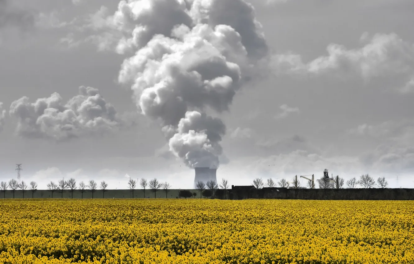 Photo wallpaper field, nature, smoke, pipe
