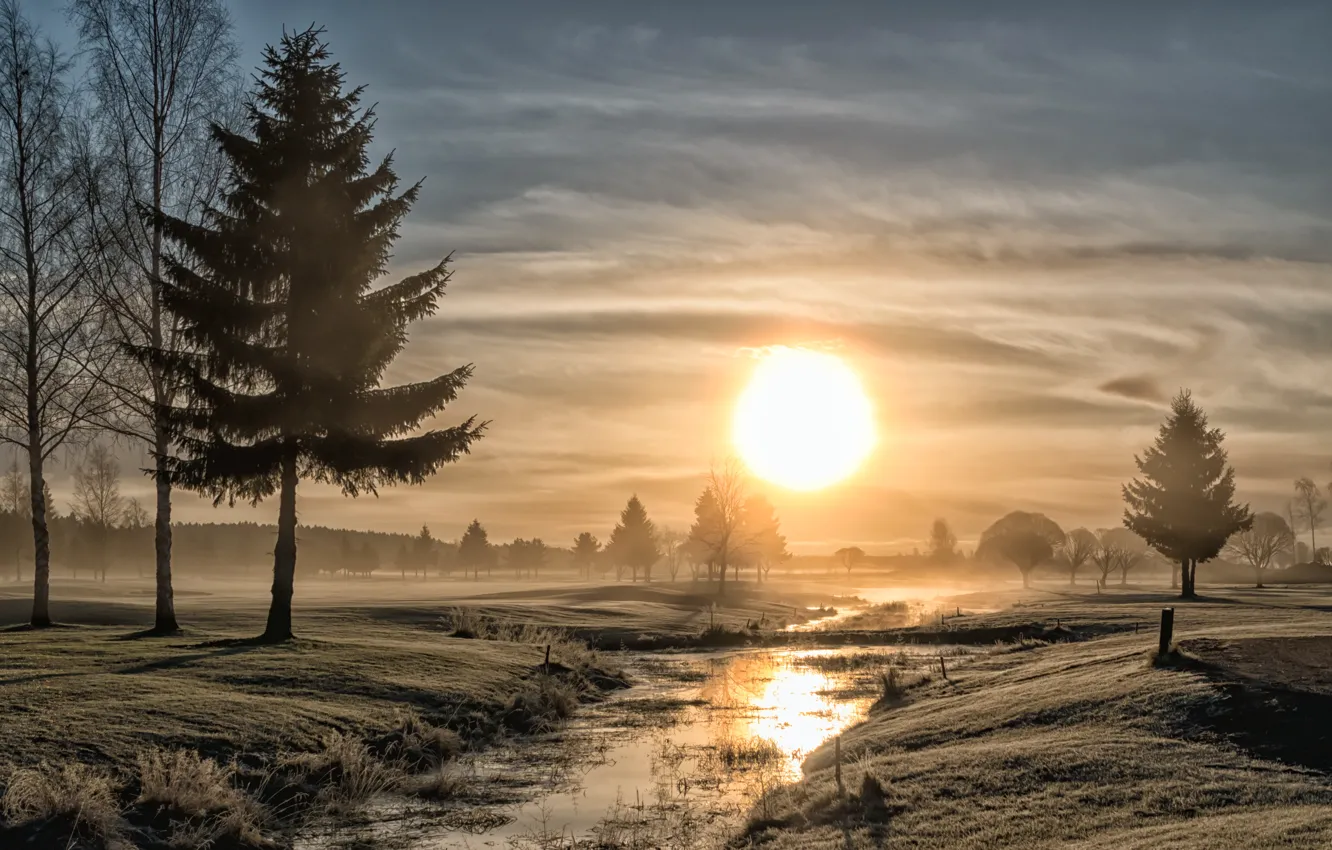 Photo wallpaper winter, fog, morning