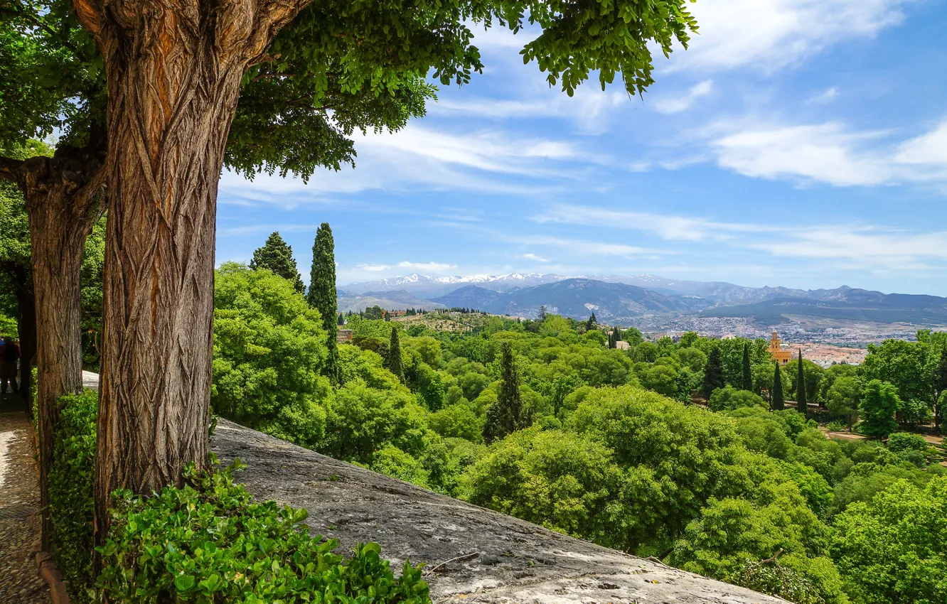 Photo wallpaper trees, landscape, nature, the city, alley, Spain, Granada