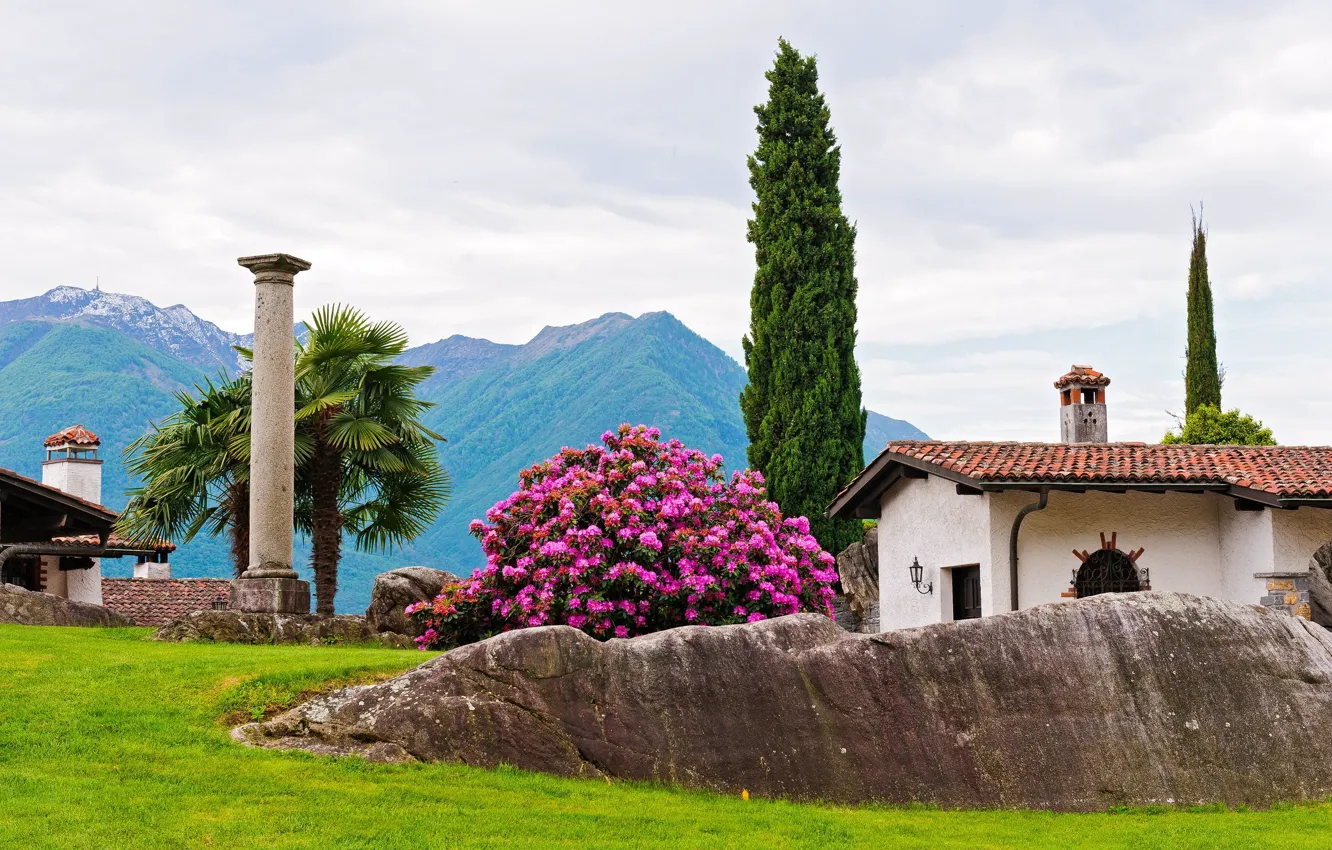 Photo wallpaper trees, mountains, Park, stones, palm trees, home, columns, the bushes
