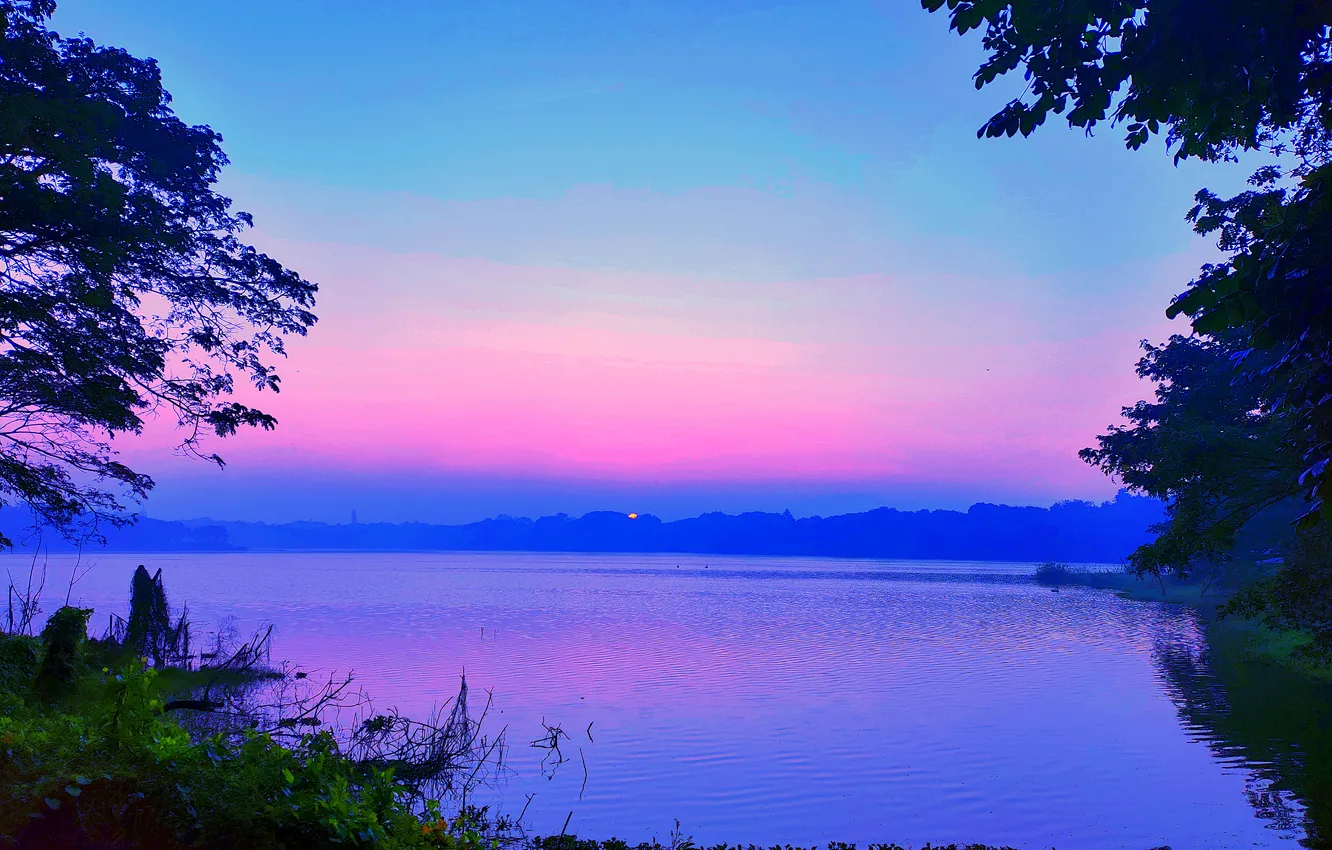 Photo wallpaper Sky, Grass, Sun, Water, Sunrise, Dawn, Morning, Lake