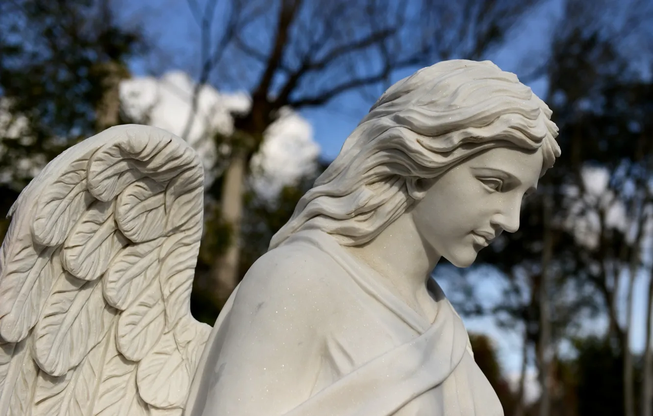 Photo wallpaper wings, angel, statue, sculpture
