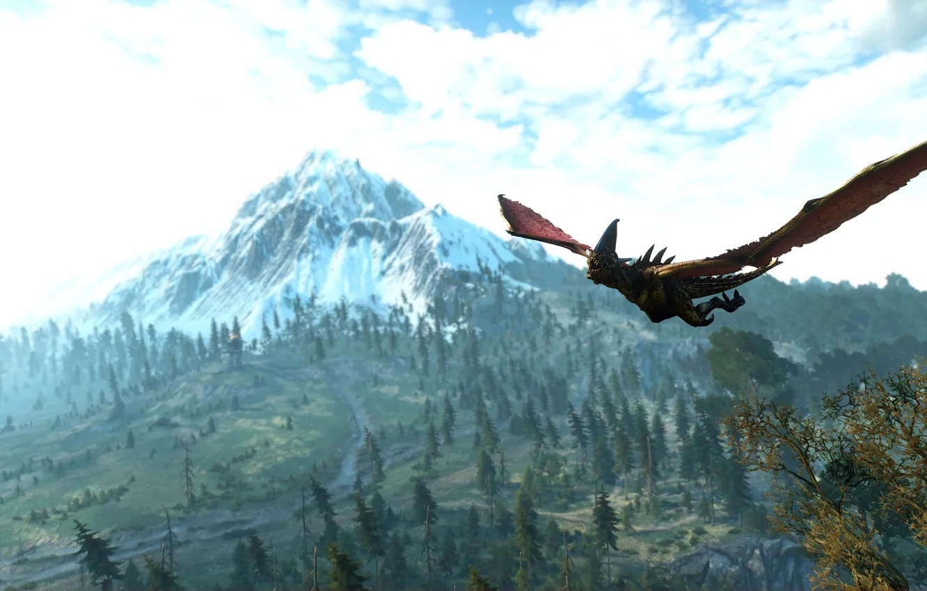 Photo wallpaper The Wild Hunt, The Witcher, The Witcher, The Witcher 3 Wild Hunt