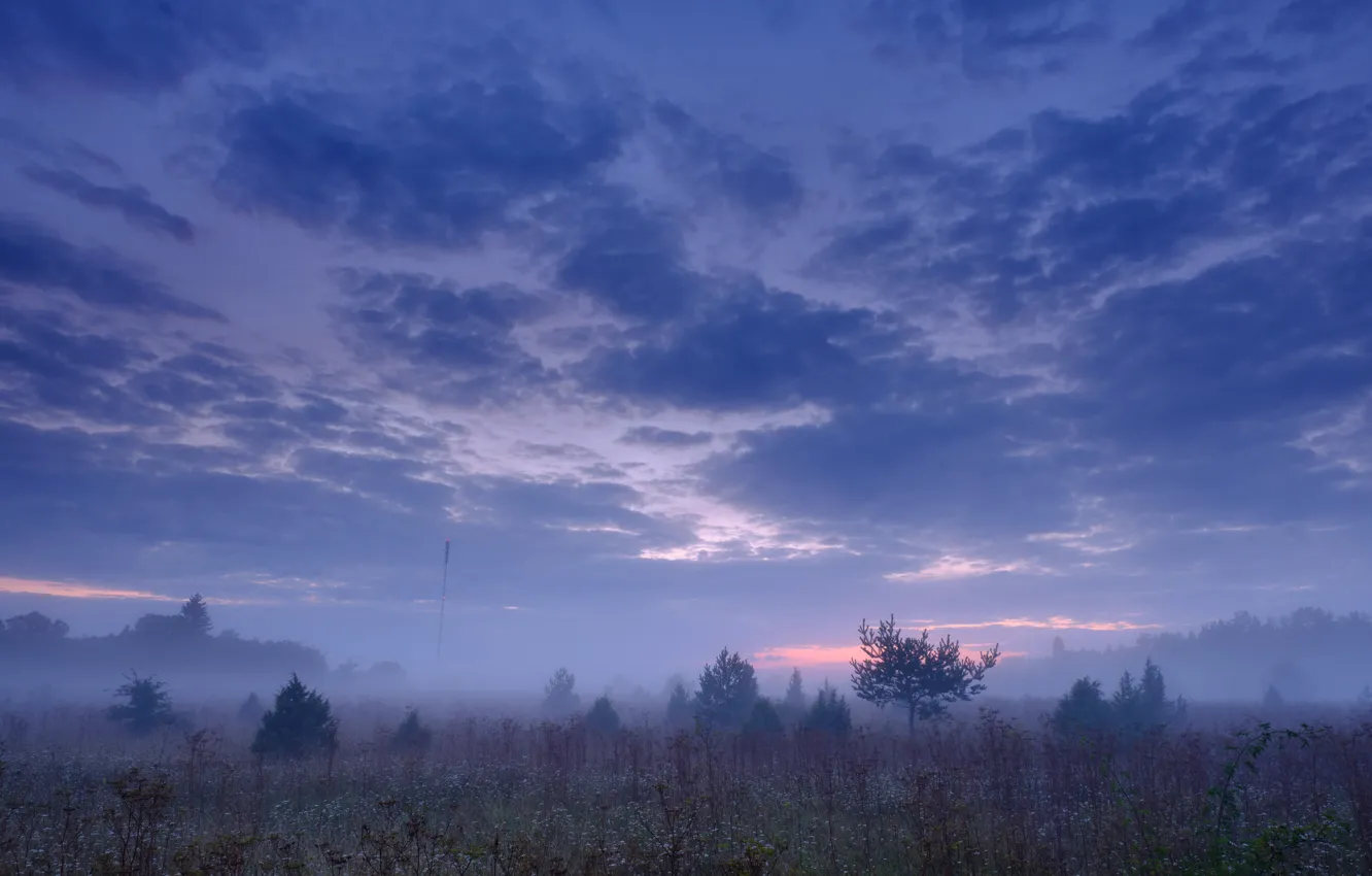 Photo wallpaper the sky, clouds, sunrise
