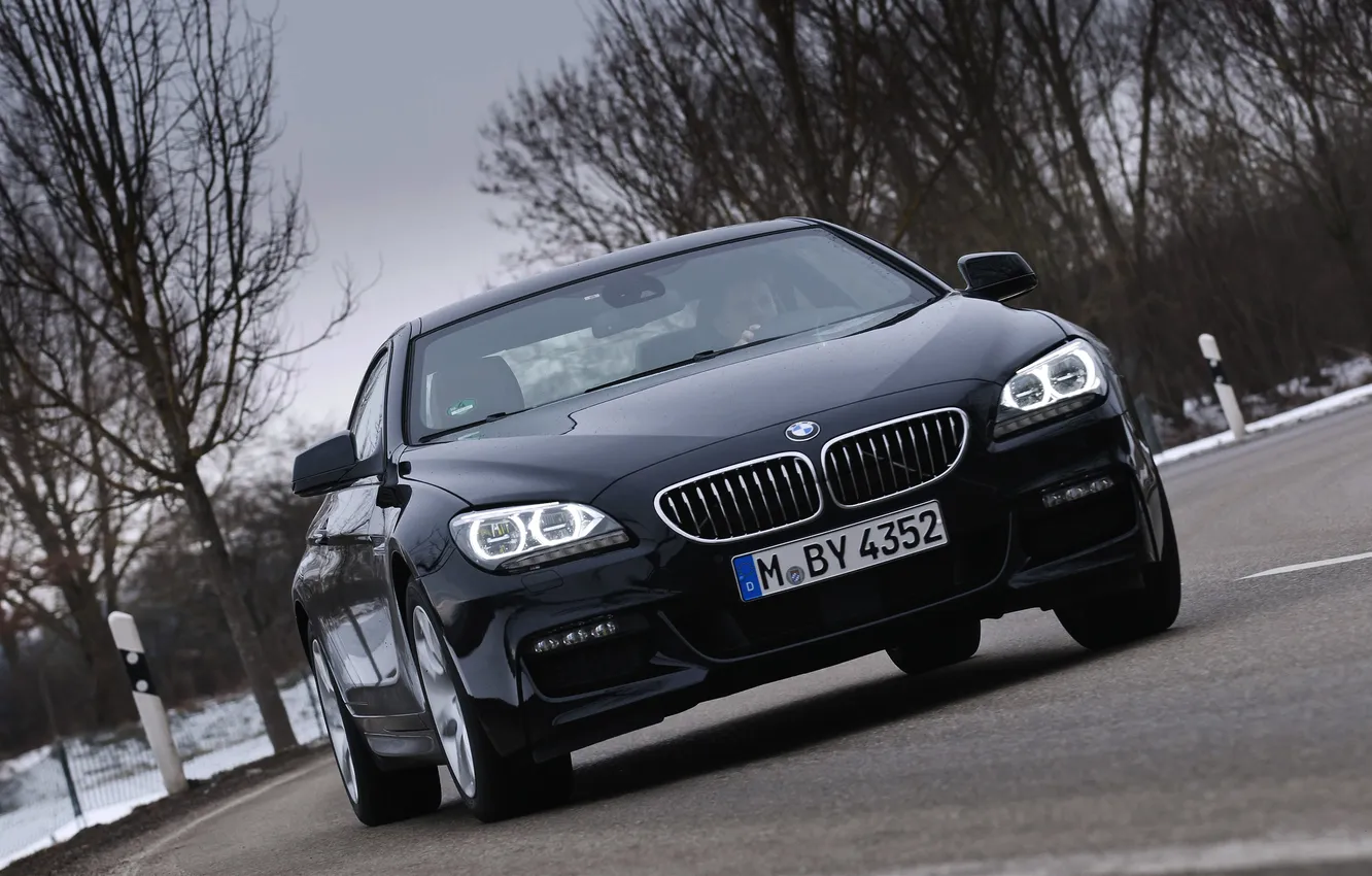 Photo wallpaper winter, road, machine, auto, black, lights, BMW, BMW