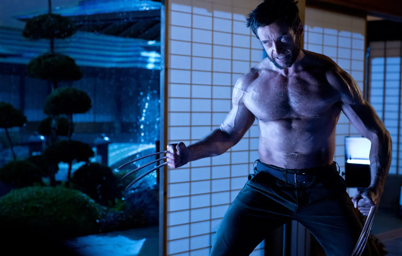 Photo wallpaper Wolverine, Hugh Jackman, Logan, Hugh Jackman, The Wolverine, immortal