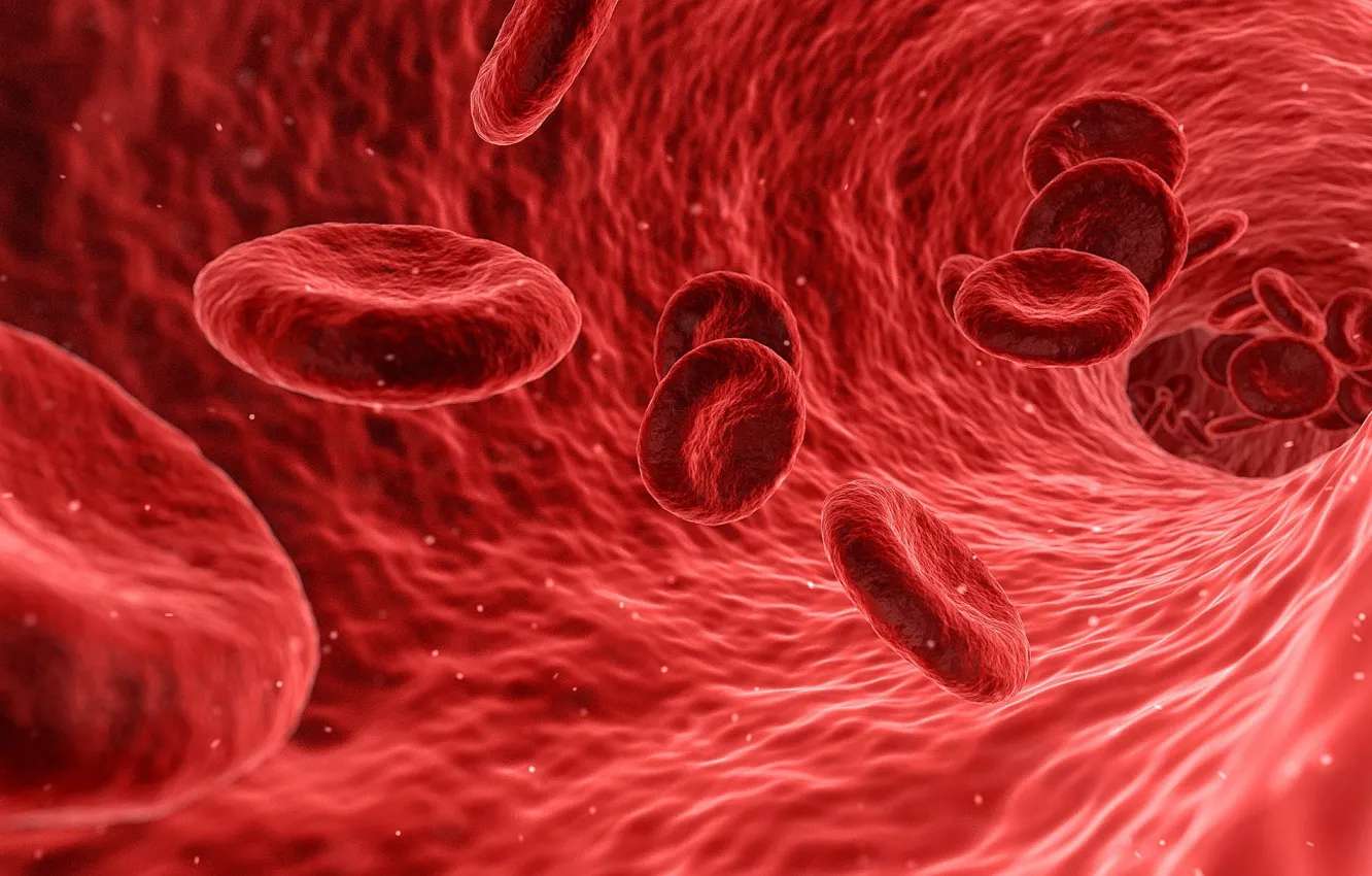 Photo wallpaper blood, cell, human