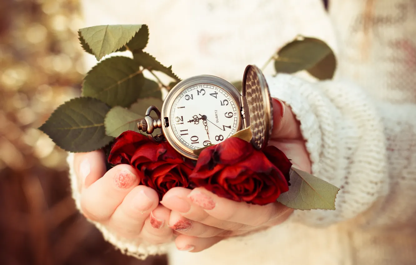 Photo wallpaper leaves, time, watch, roses, hands, dial, sweater, answers