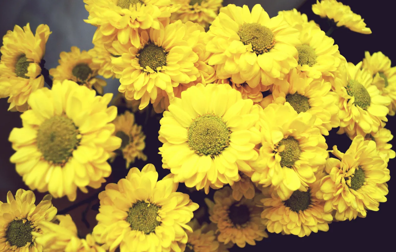 Photo wallpaper flowers, yellow, bouquet, yellow flowers