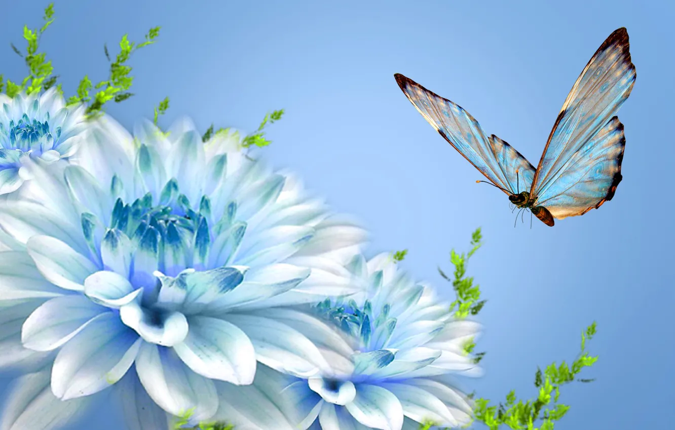 Photo wallpaper flowers, collage, butterfly, petals