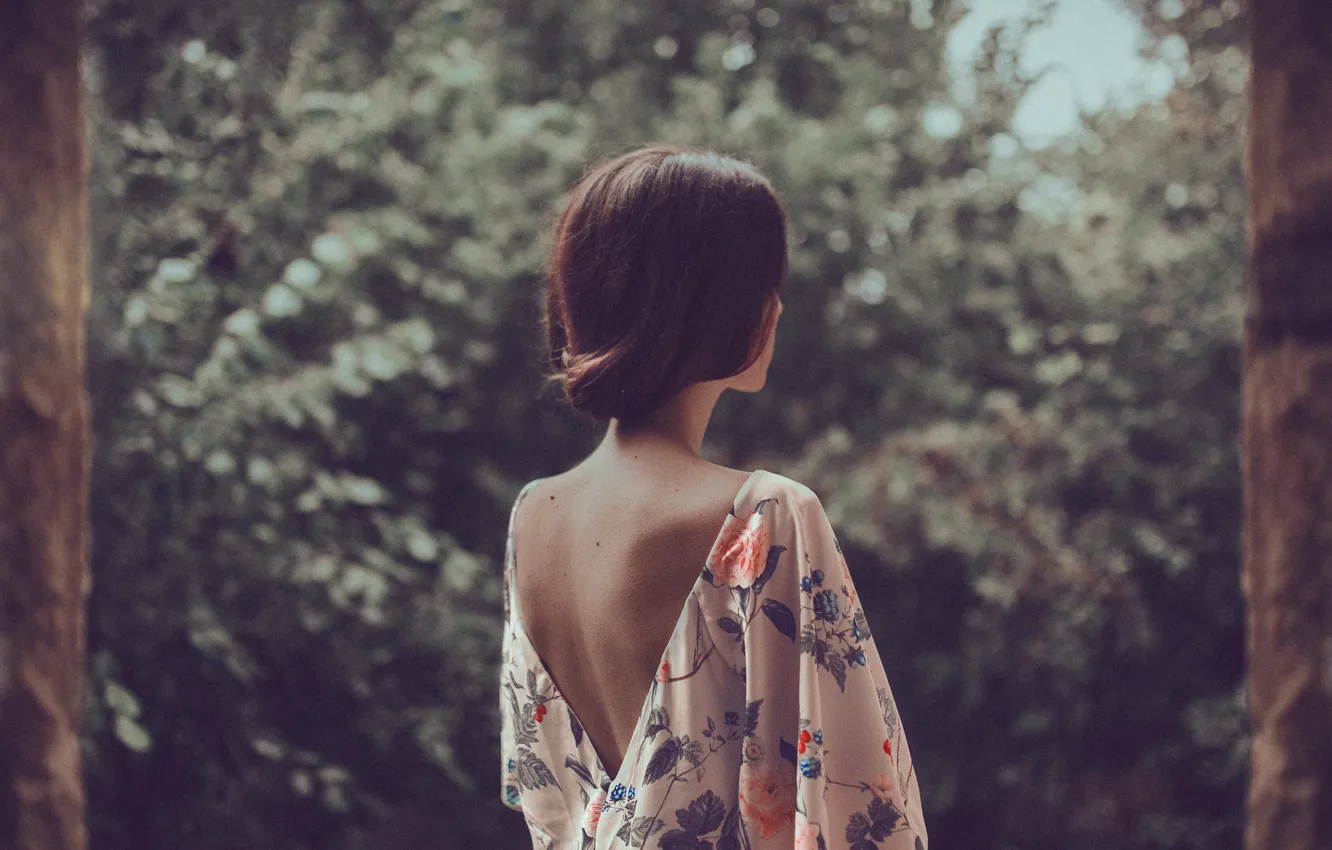Photo wallpaper girl, background, hair, back