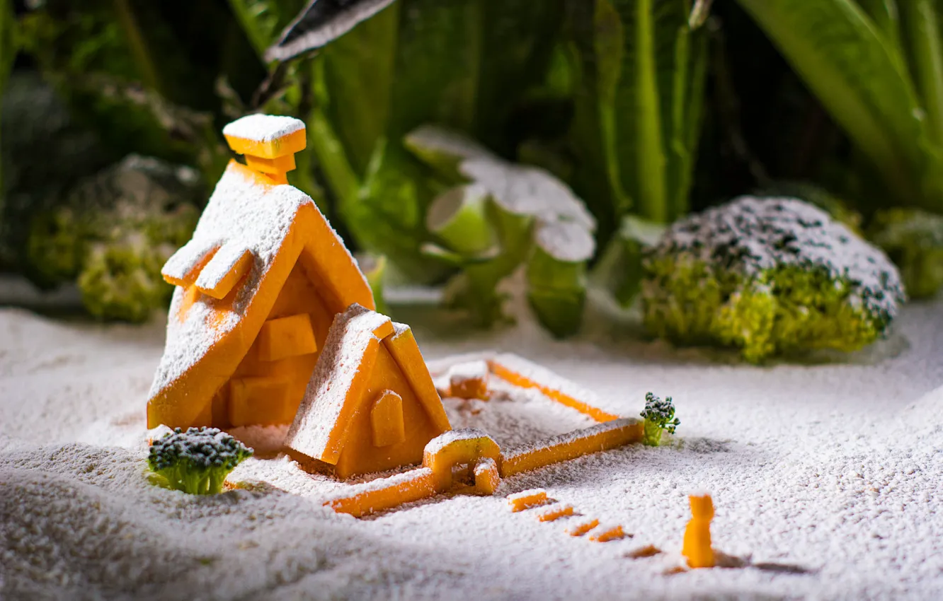 Photo wallpaper doors, men, shadow, roof, the mold, cut, the snow, powdered sugar