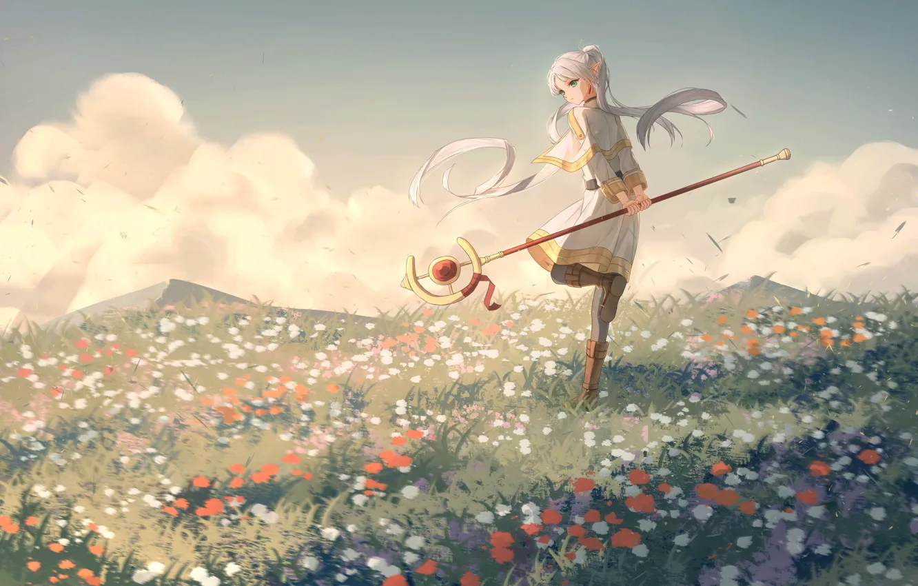 Photo wallpaper the sky, girl, flowers, nature, elf, fantasy, staff, Freeze