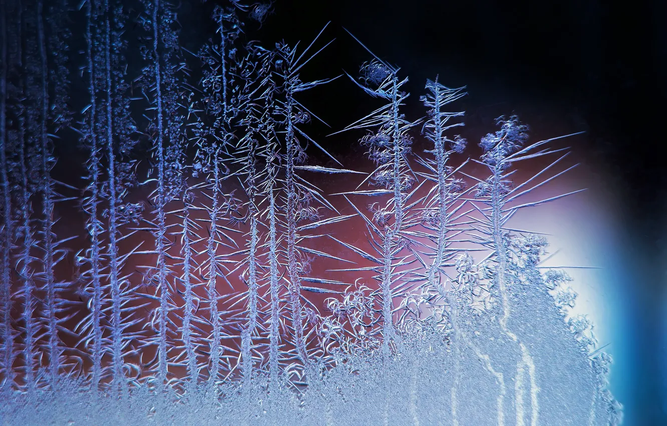 Photo wallpaper frost, glass, macro, pattern