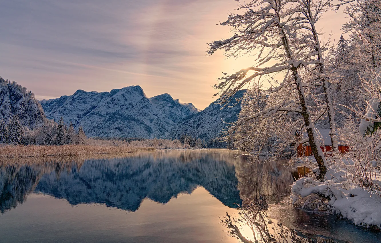 Photo wallpaper winter, frost, the sun, clouds, light, snow, trees, mountains