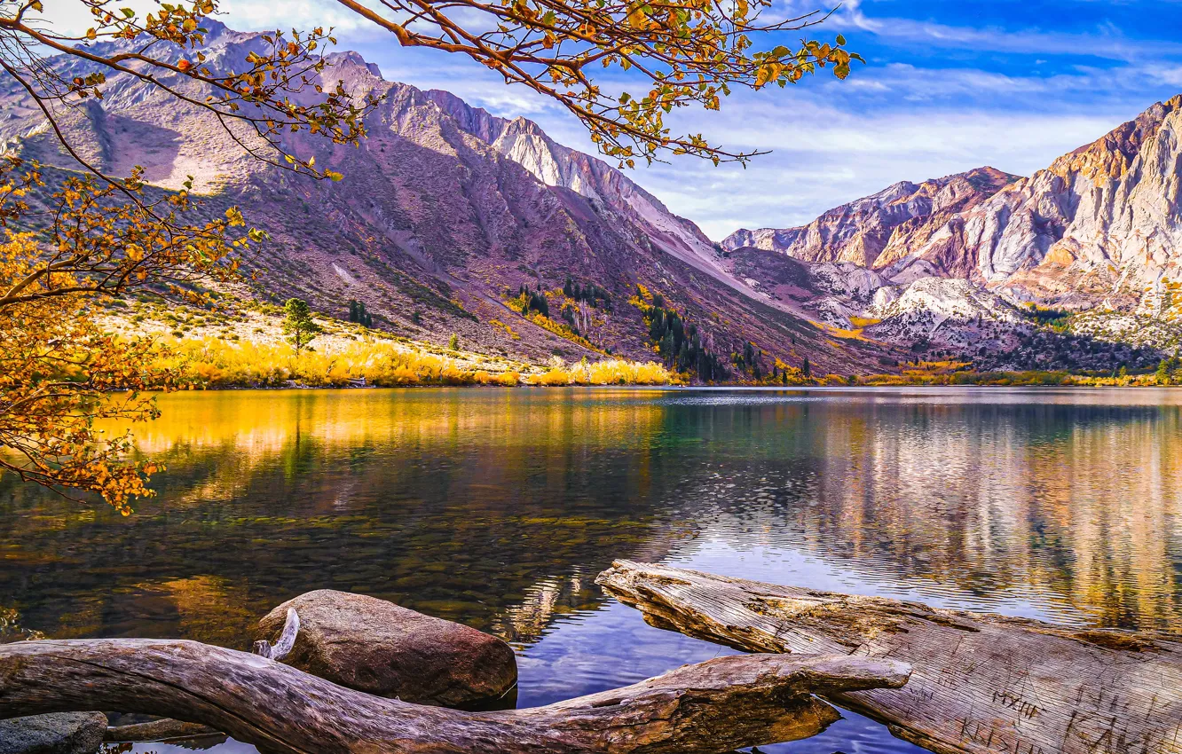 Photo wallpaper autumn, forest, mountains, shore, pond, logs
