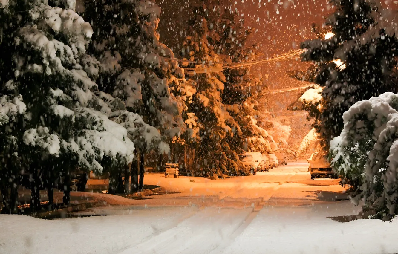 Photo wallpaper winter, snow, night, nature, nature, night, winter, snow