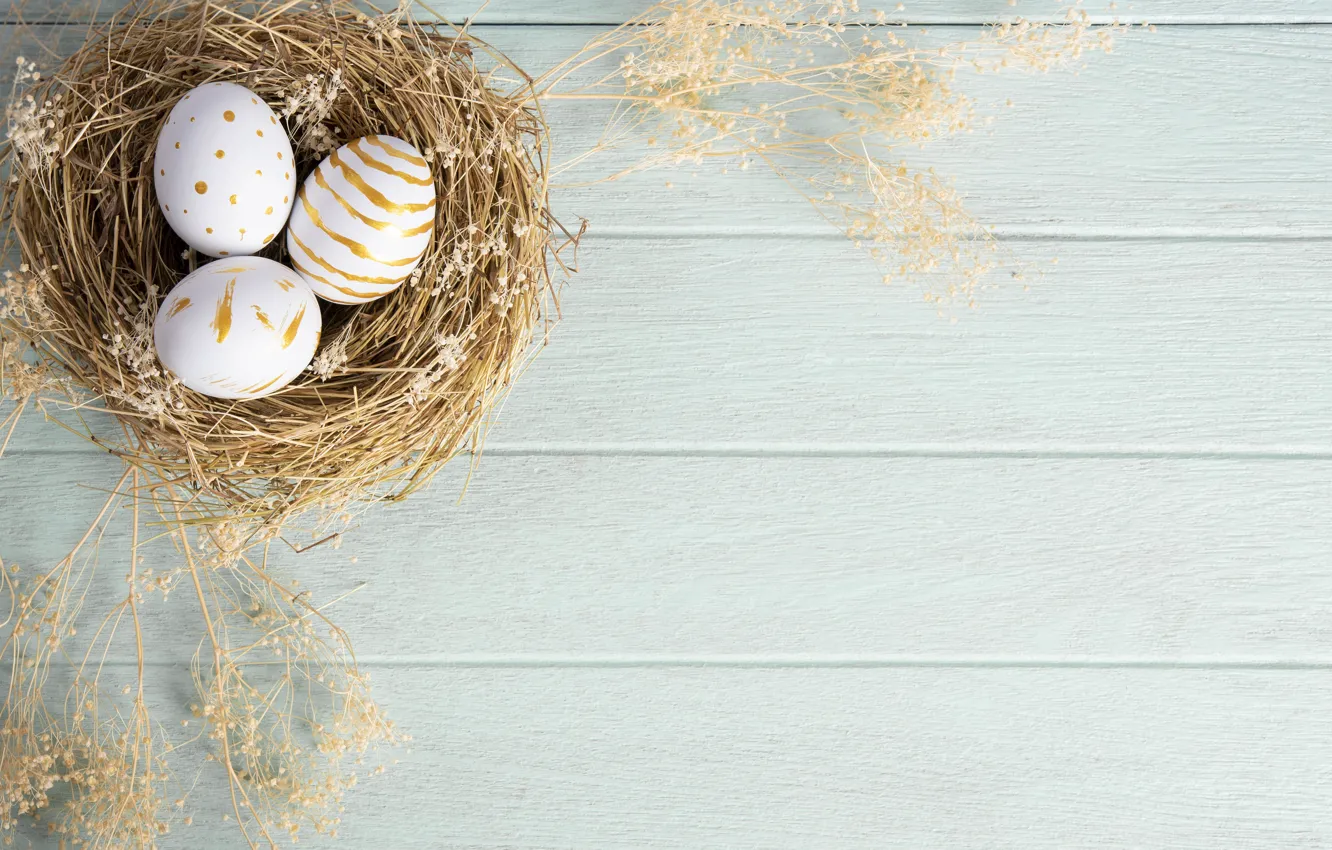 Photo wallpaper holiday, eggs, feathers, Easter, socket
