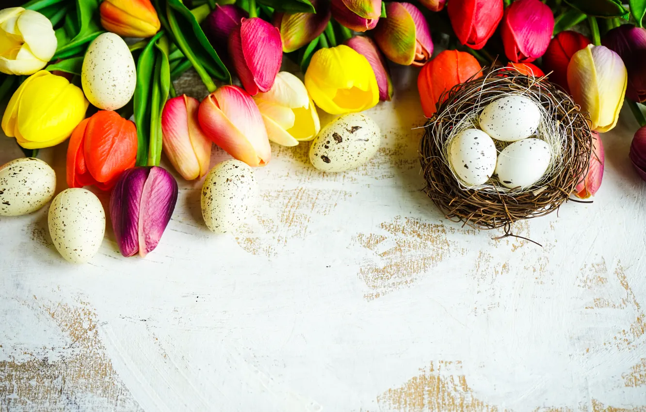 Photo wallpaper flowers, colorful, Easter, tulips, happy, flowers, tulips, Easter