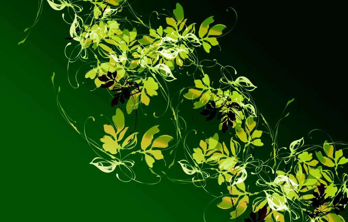 Photo wallpaper leaves, light, pattern, plant, color, contrast, Liana