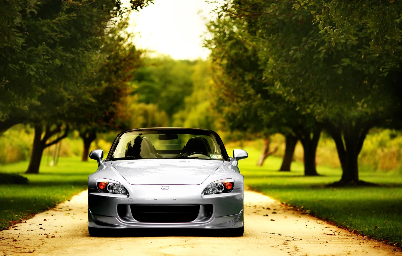 Photo wallpaper trees, Park, silver, Honda, Front, Honda, S2000, silvery