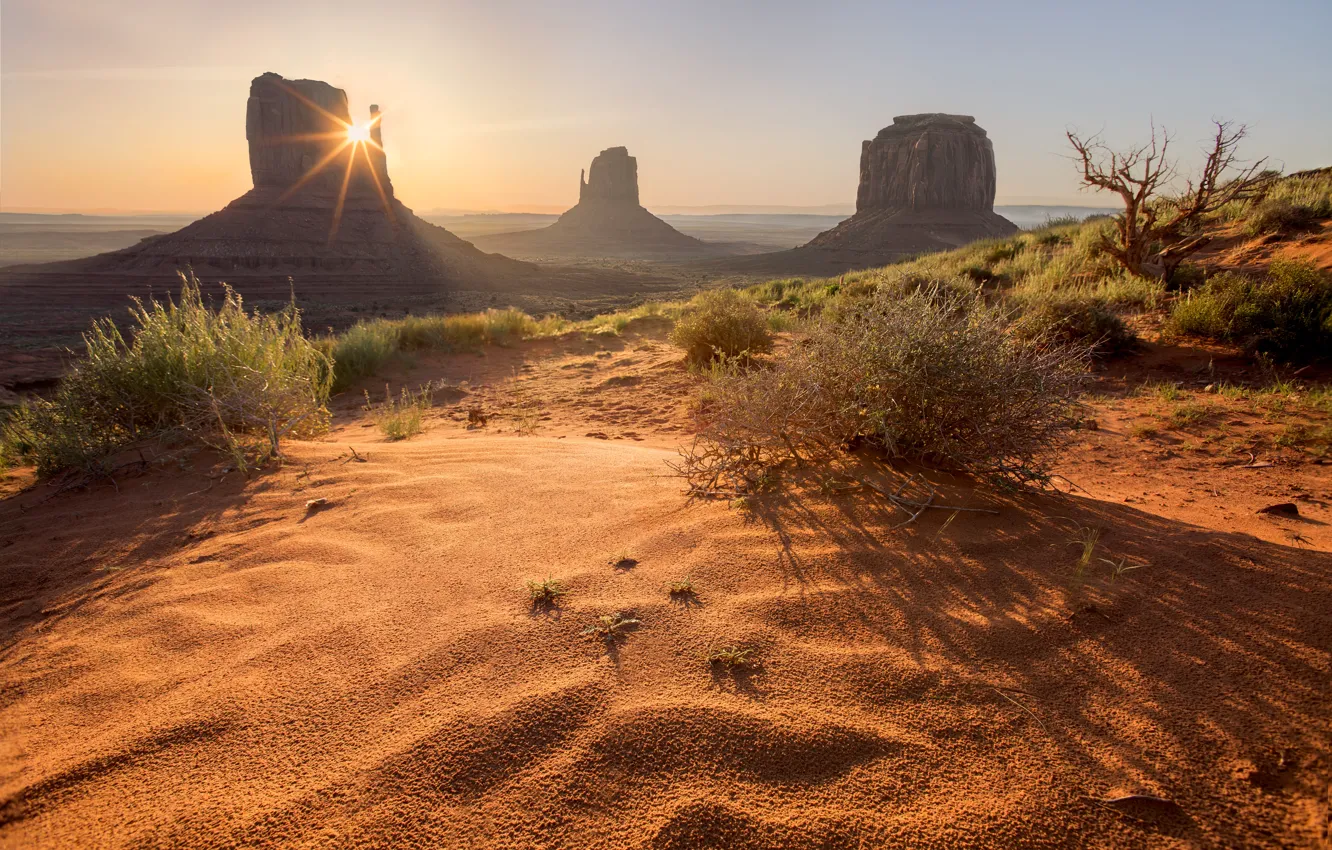 Photo wallpaper sand, the sun, vegetation, desert, USA, Monument valley