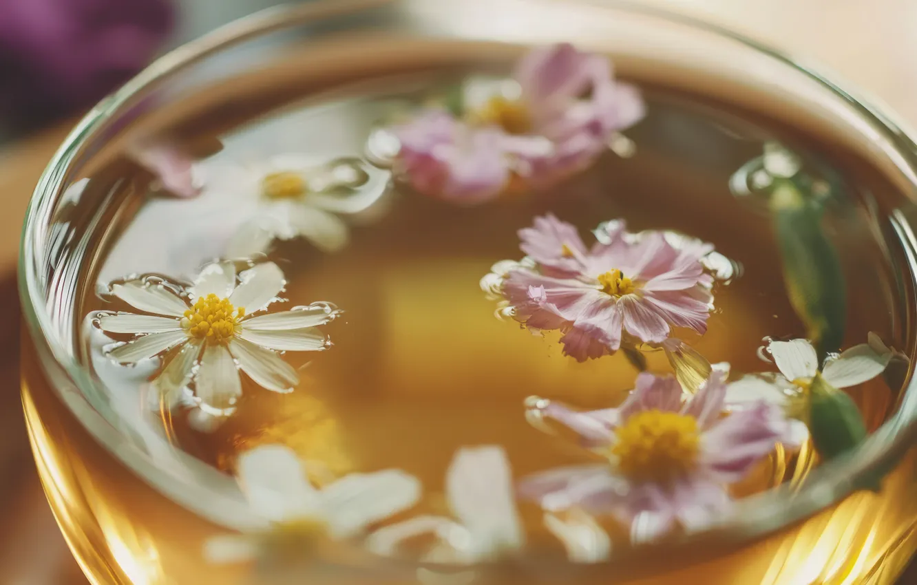 Photo wallpaper glass, flowers, close-up, tea, chamomile, petals, Cup, drink