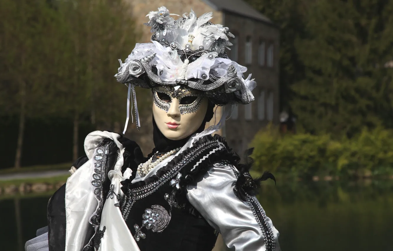 Photo wallpaper decoration, hat, dress, mask, carnival costume