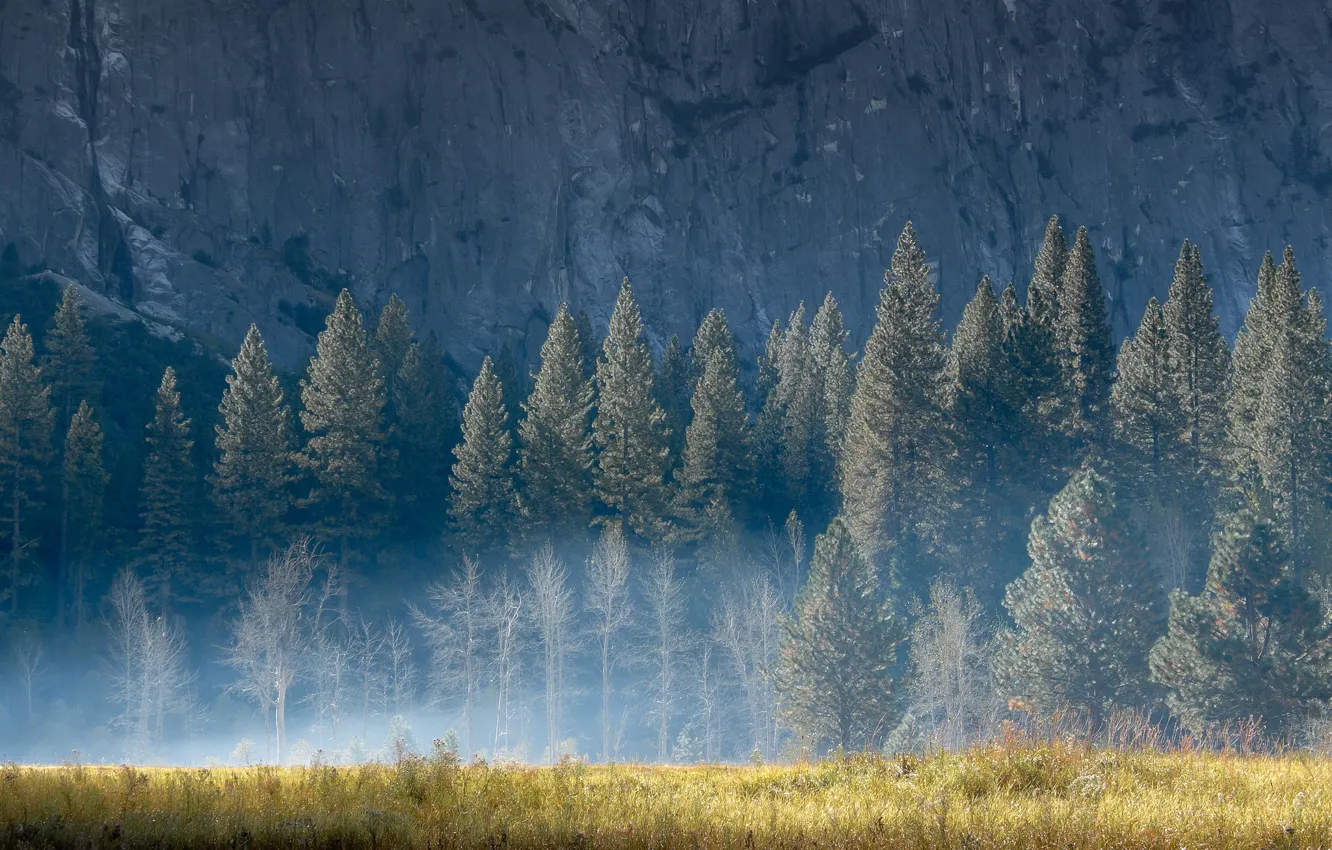 Photo wallpaper summer, grass, light, trees, nature, fog, rock, mountain