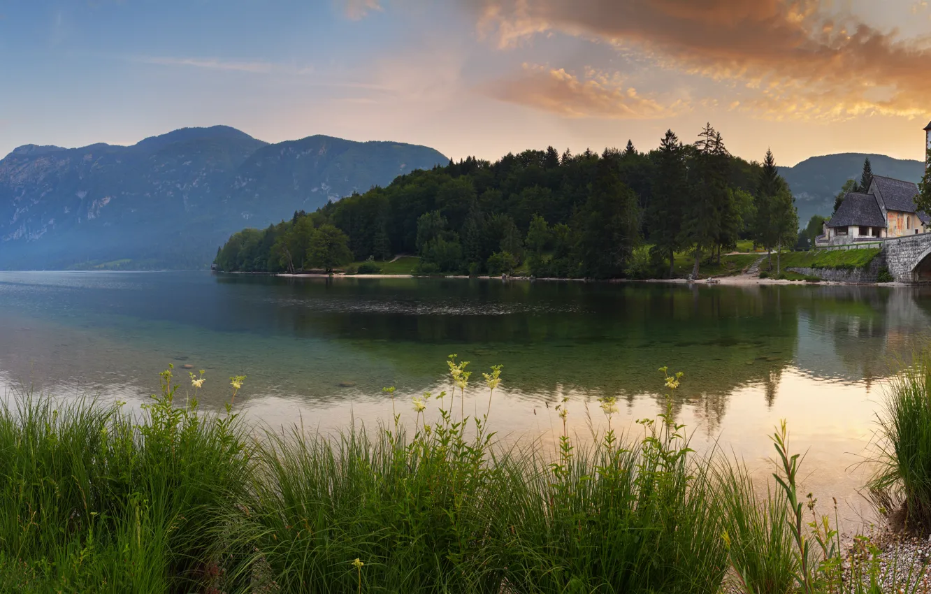 Photo wallpaper forest, grass, mountains, lake, dawn, home