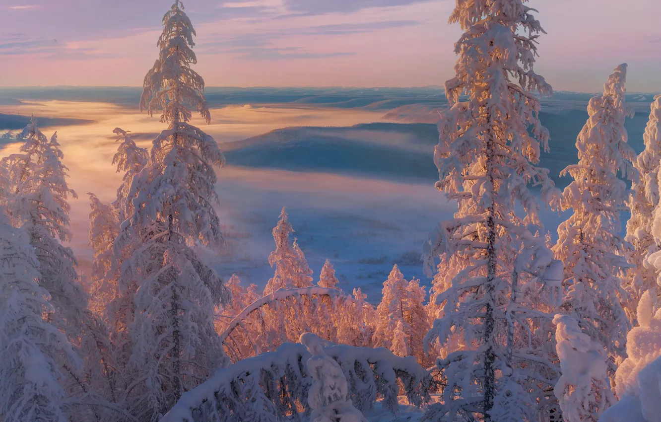 Photo wallpaper winter, trees, landscape, sunset, nature, fog, ate, snow