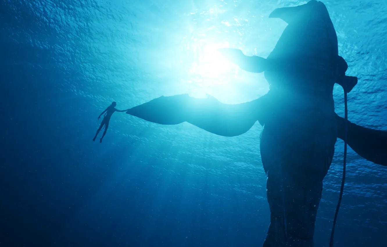 Photo wallpaper Avatar, ocean, Avatar: The Way of Water, Lo'ak, Tulkun, Payakan