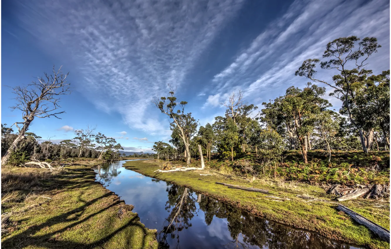 Photo wallpaper the sky, clouds, trees, river