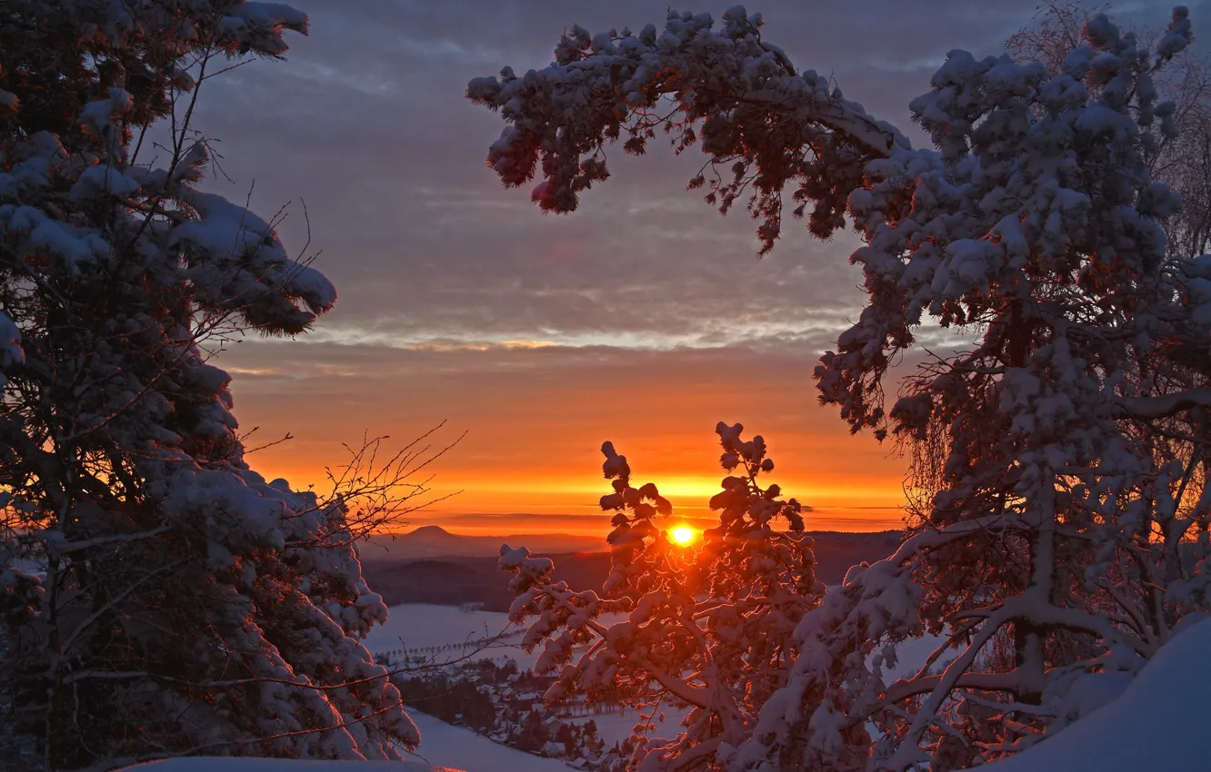 Photo wallpaper winter, snow, trees, sunset, Germany, Germany, Saxony, Saxony