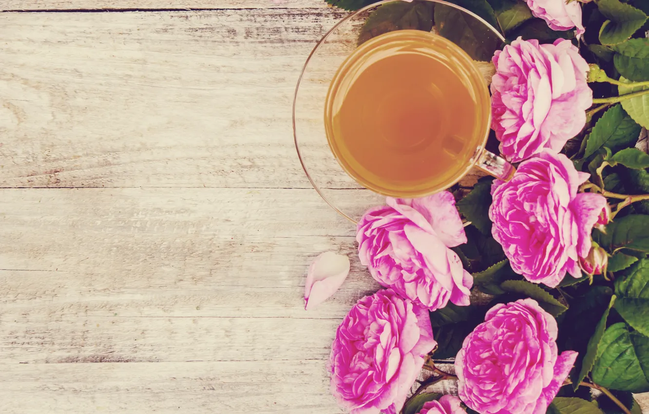 Photo wallpaper flowers, roses, petals, pink, wood, pink, flowers, cup